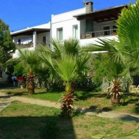 Alfa Apartments Bodrum Eksteriør billede