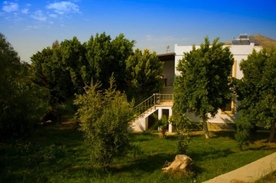 Alfa Apartments Bodrum Eksteriør billede