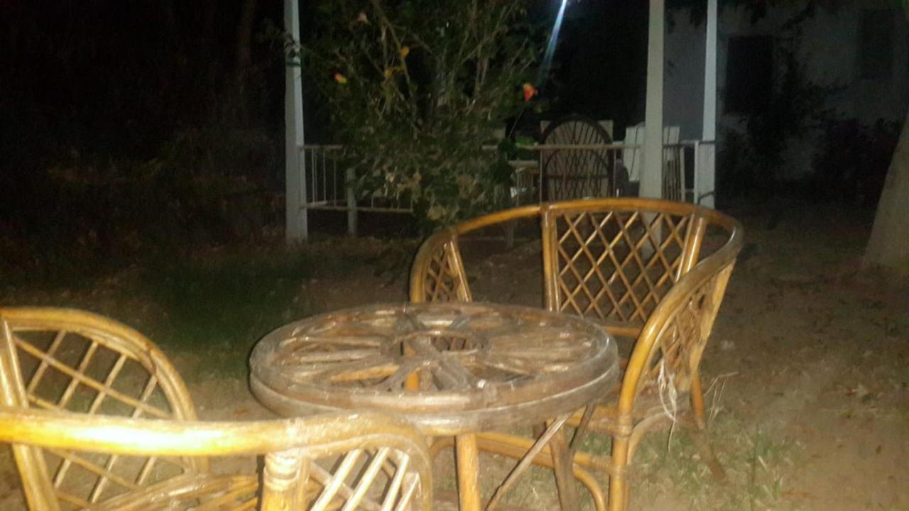 Alfa Apartments Bodrum Eksteriør billede